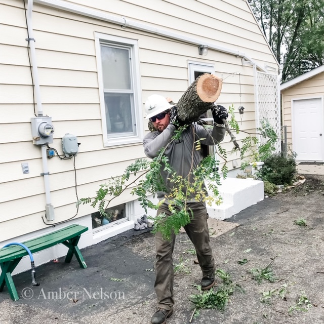 Gallery Nelson Tree Service LLC