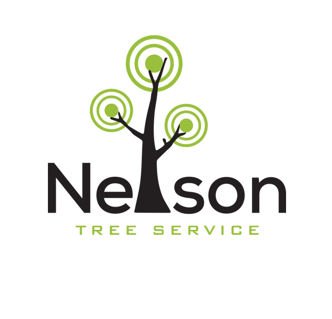 Nelson Tree Service LLC | Rochester & Stewartville, MN | Tree Removal ...